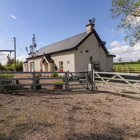 Tatil Evi Lynchpin *